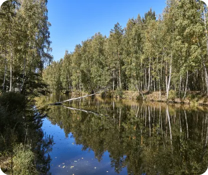 Красная Слобода фото