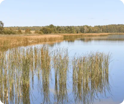 Красная Слобода фото