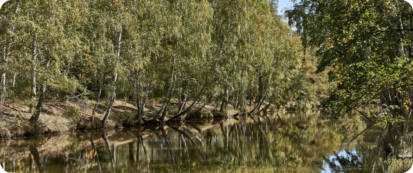 Красная Слобода фото